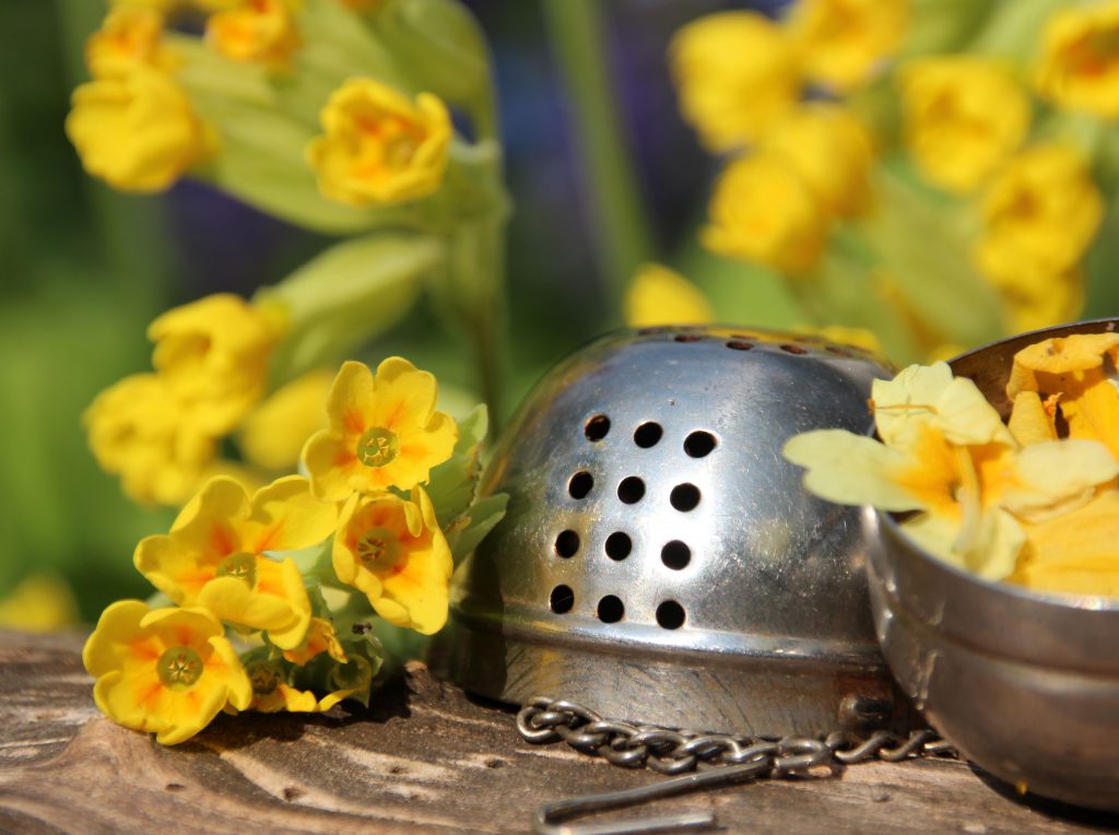 Schlüsselblumen-Tee ist besonders gut zum Schleimlösen bei einer Nasennebenhöhlenentzündung geeignet. (Bild: goldbany/fotolia.com)