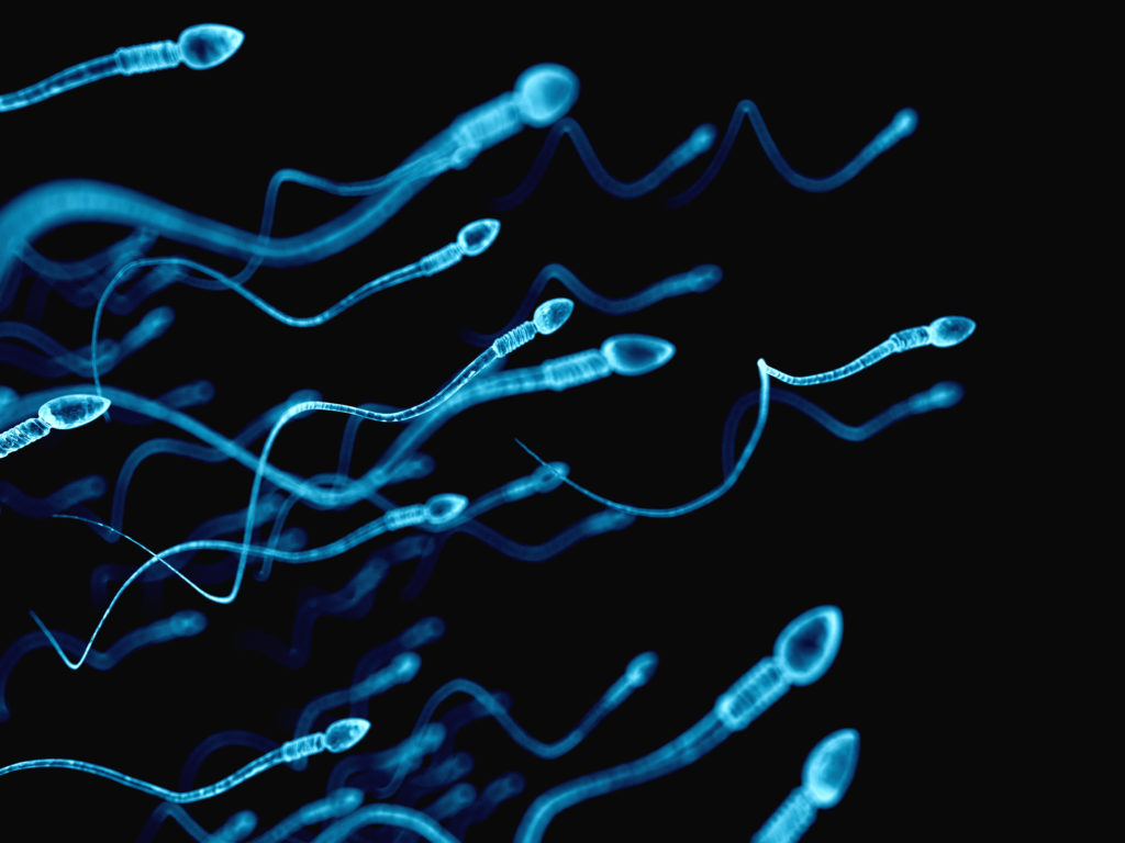 In den USA hat ein Arzt sein eigenes Sperma verwendet, um rund 50 Frauen zu befruchten. Nun wurde bekannt, dass er von mindestens acht Kindern der biologische Vater ist. (Bild: Sebastian Kaulitzki/fotolia.com)