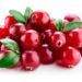 Führt der Konsum von Cranberry-Kapseln zu weniger Harnwegsinfekten? Mediziner untersuchten jetzt die Auswirkungen des Konsums von Cranberry-Kapseln bei älteren Frauen. (Bild: Tim UR/fotolia.com)