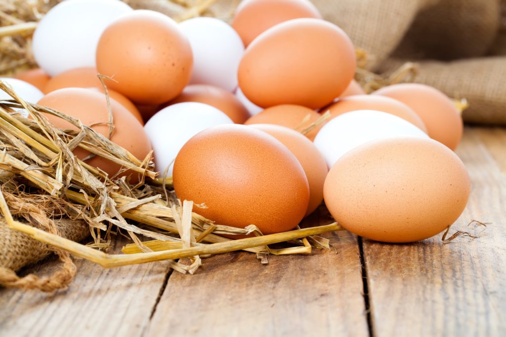 Der Eierproduzent Brandlhof hat einen Rückruf für Eier aus Freiland- und Bodenhaltung gestartet. Es waren Salmonellen gefunden worden. Diese Bakterien können verschiedene Krankheiten auslösen. (Bild: motorolka/fotolia.com)