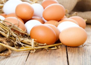 Zwar wird aus gesundheitlichen Gründen immer wieder vor zu hohem Eierkonsum gewarnt, doch wie sich Eier auf den Cholesterinspiegel auswirken, hänge laut Gesundheitsexperten vom gesamten Ernährungskonzept ab.(Bild: motorolka/fotolia.com)