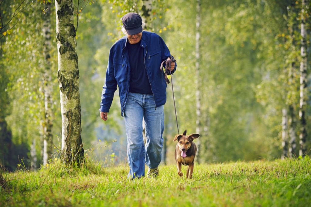 Gassi gehen fördert die Gesundheit von Hundehaltern. Regelmäßige Bewegung reduziert unter anderem das Risiko für Herz-Kreislauf-Krankheiten. (Bild: upixa/fotolia.com)