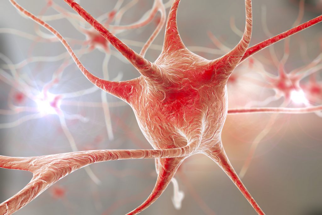 Neuronale Gehirnstrukturen. Bild: Dr_Kateryna - fotolia