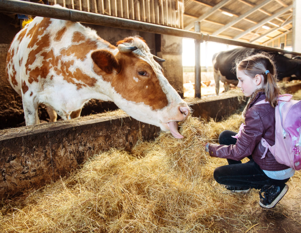 Kinder, die auf dem Land aufwachsen, sind durch den Kontakt mit Keimen meist besser vor Allergien und anderen Erkrankungen geschützt. Doch auch Bestandteile im Hausstaub erfüllen diese Schutzfunktion. (Bild: 2xSamara.com/fotolia.com)