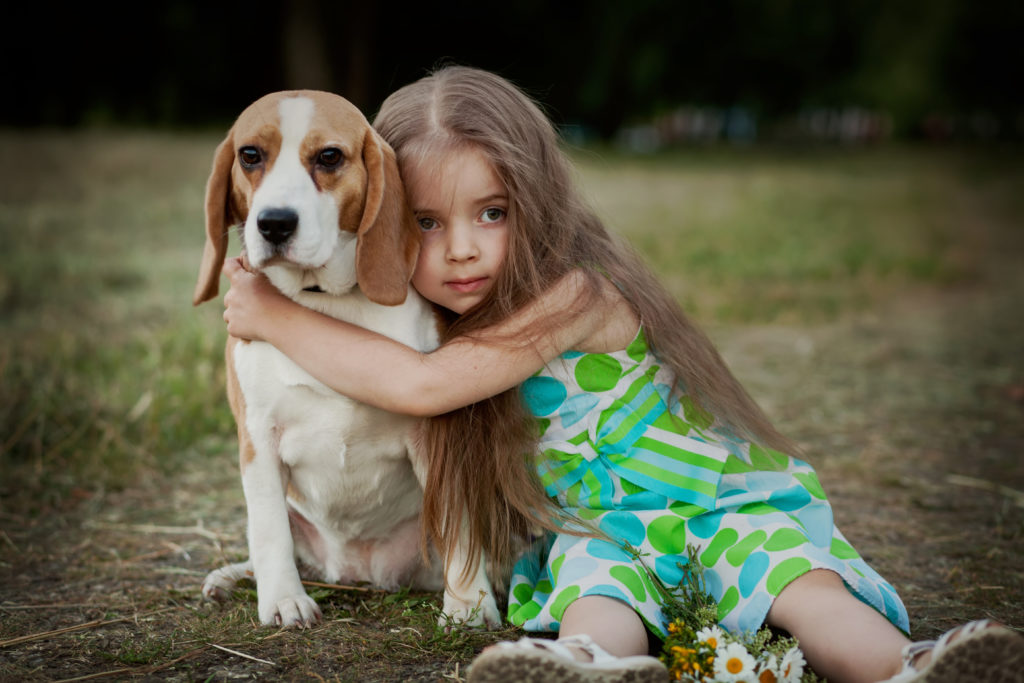 Kinder wissen in der Regel, dass sie sich wütenden Hunden nicht nähern sollten. Doch auch ängstliche Hunde können für sie zur Gefahr werden, warnen Forscher. (Bild: Kristina Stasiuliene/fotolia.com)