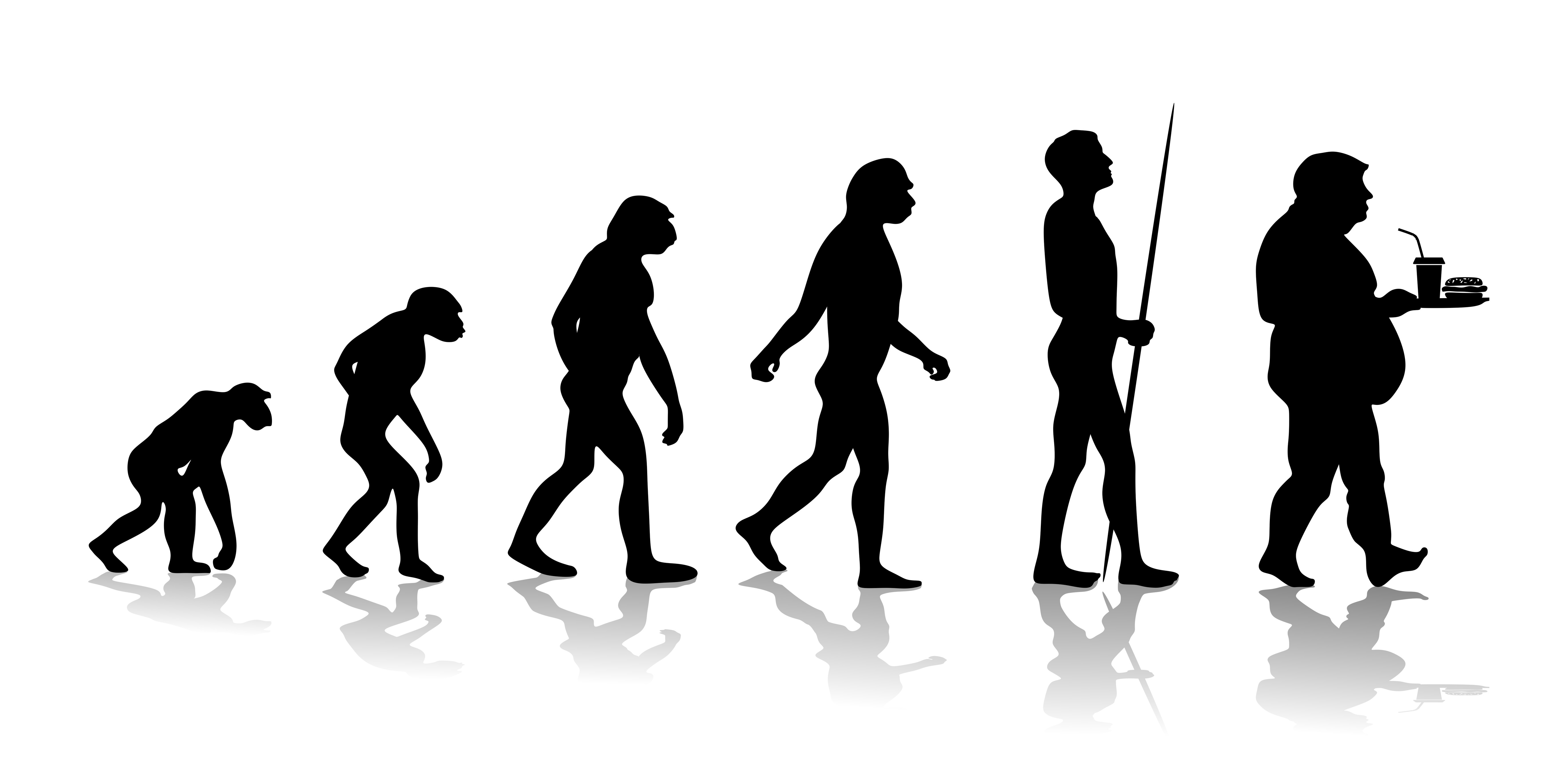 In der Evolution sicherte eine Fettschicht das Überleben (Fiedels/ fotolia.com)