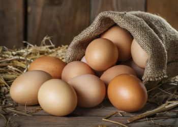 Hühnereier enthalten von Natur aus Vitamin D. Deutsche Forscher haben nun einen neuen Weg gefunden, den Vitamin-D-Gehalt in Eiern noch weiter zu erhöhen: durch UV-Beleuchtung für die Hühner. (Bild: iprachenko/fotolia.com)