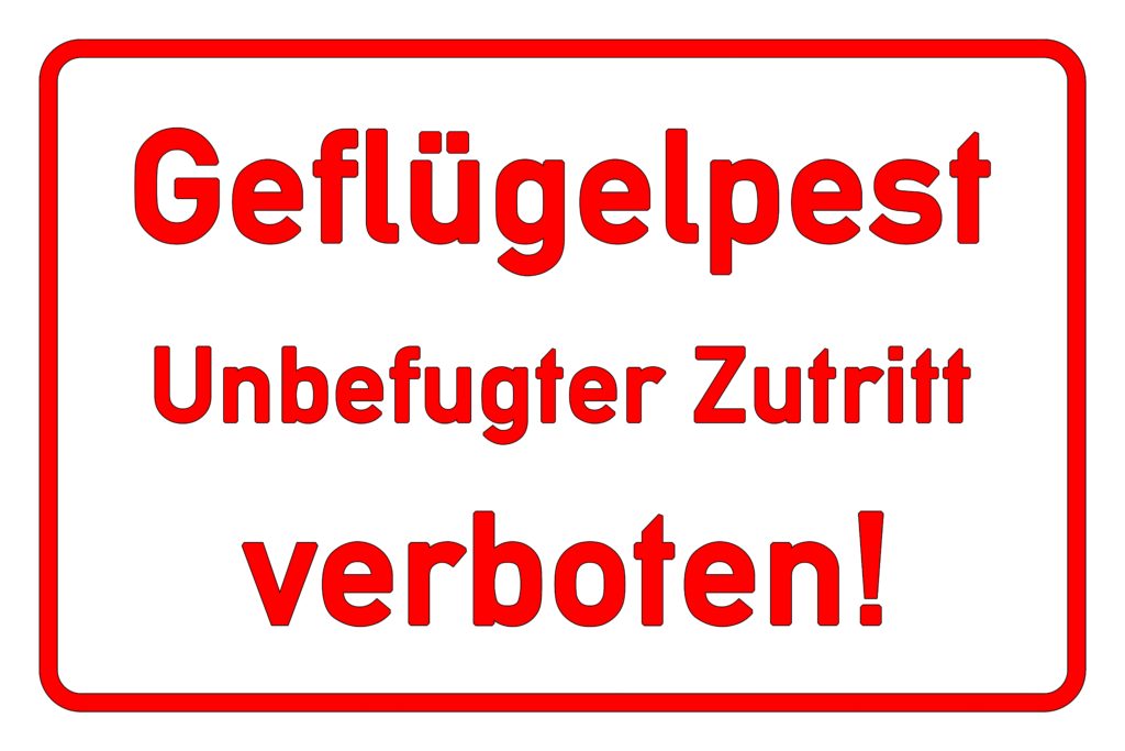 Die Vogelgrippe breitet sich immer weiter aus. In Schleswig-Holstein müssen nun 30.000 Hühner einer Massentierhaltung getötet werden. In manchen Regionen soll eine Stallpflicht verhängt werden. (Bild: fotohansel/fotolia.com)