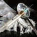 In Niedersachsen und Schleswig-Holstein ist die Zahl der Drogentoten gesunken. Heroin bleibt die Todesdroge Nummer eins. (Bild: fotomaximum/fotolia.com)