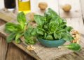 Wer gerne Salat mag, sollte im Winter zu Feldsalat greifen. Diese Salatsorte enthält doppelt so viel Vitamin C wie Kopfsalat. Damit lässt sich das Immunsystem stärken. (Bild: Marek Gottschalk/fotolia.com)