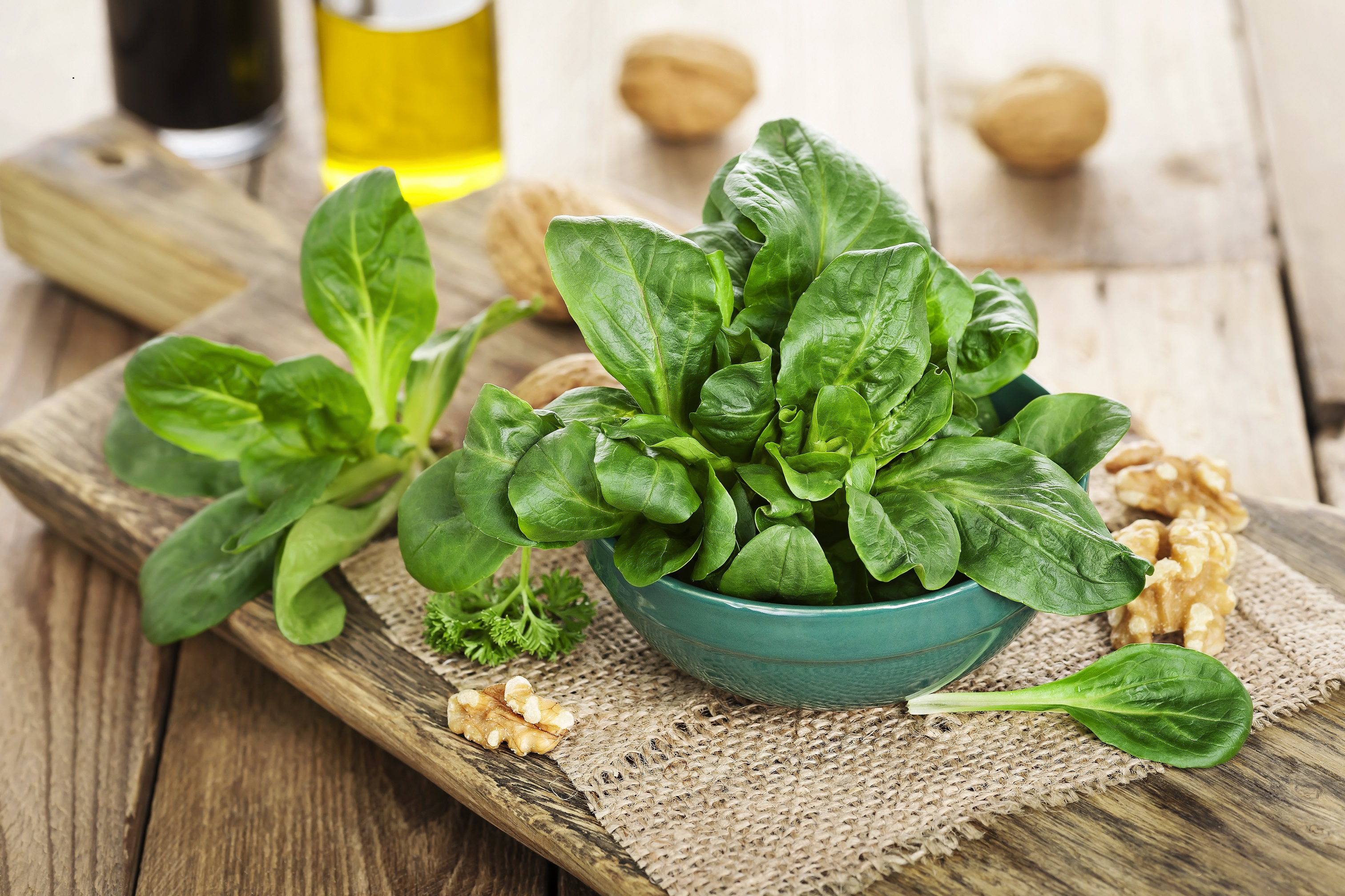 Abwehrkräfte natürlicher stärken: Frischer Feldsalat enthält sehr viel ...