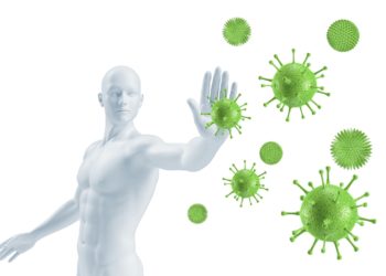 Das Immunsystem ist entscheidend für die Abwehr von Krankheitserregern wie Viren oder Bakterien. (Bild: ag visuell/stock.adobe.com)