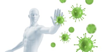 Das Immunsystem ist entscheidend für die Abwehr von Krankheitserregern wie Viren oder Bakterien. (Bild: ag visuell/stock.adobe.com)