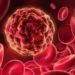 Die Behandlung von Leukämie könnte durch eine neue Untersuchung einen großen Schritt nach vorne gemacht haben. Eine Behandlung mit modifizierten Immunzellen führte zu interessanten Ergebnissen. (Bild: psdesign1/fotolia.com)