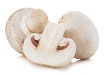 Pilze schmecken den meisten Menschen gut und sind auch noch zusätzlich gesund. Mediziner stellten fest, dass der Konsum von bestimmten Pilzen sogar die Entstehung von Alzheimer verhindern kann. (Bild: bestphotostudio/fotolia.com)