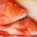 Red Snapper ist ein beliebter Speisefisch. Doch warnt das bayerische Landesgesundheitsamt aktuelle vor dem Verzehr von Red Snapper-Fischfilet aus Vietnam, da dieses Algentoxine enthalten und eine Fischvergiftung auslösen kann. (Bild: go2dim/fotolia.com)