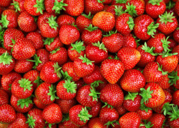 Schwedische und österreichische Forscher  haben Erdbeeren als Infektionsquelle für zahlreiche Hepatitis-A-Erkrankungen in ihren Ländern ausfindig gemacht. (Bild: Tim UR/fotolia.com)