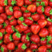 Schwedische und österreichische Forscher  haben Erdbeeren als Infektionsquelle für zahlreiche Hepatitis-A-Erkrankungen in ihren Ländern ausfindig gemacht. (Bild: Tim UR/fotolia.com)