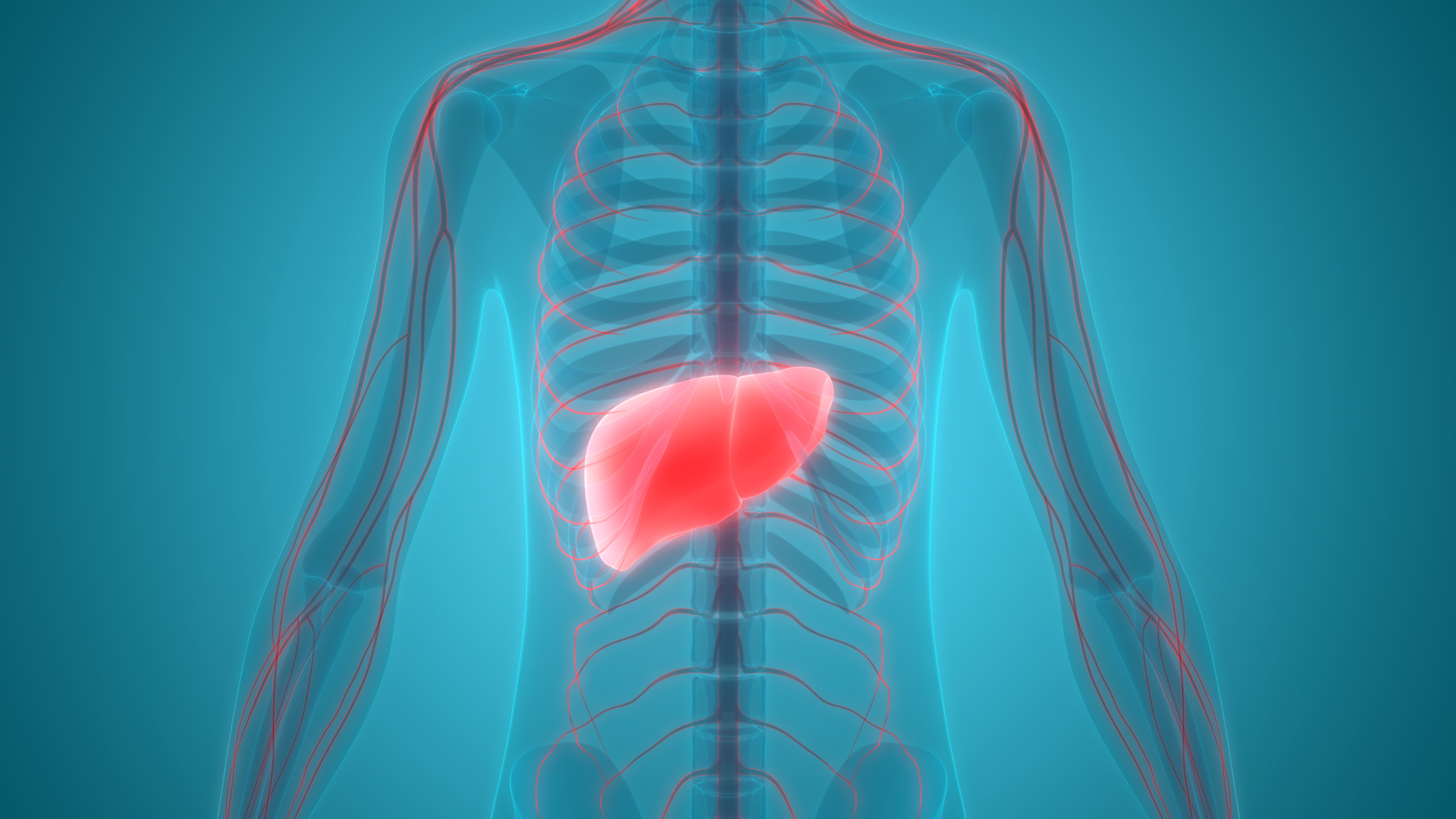Wasser im Bauch Ursachen, Symptome und Therapie Heilpraxis