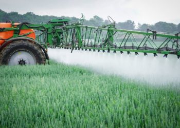 Schutzmaßnahmen wie das Anlegen von Grünstreifen oder Blühinseln reichen nicht aus, um die Auswirkungen von Pestiziden und Dünger in der Landwirtschaft zu kompensieren. (Bild: Countrypixel/fotolia.com)