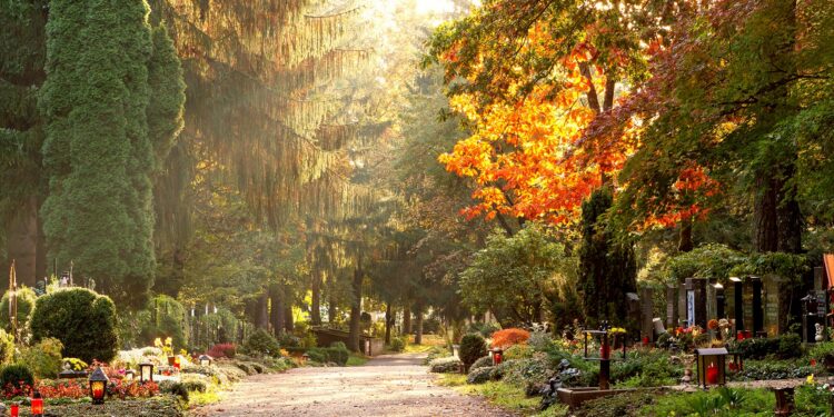 Blick über einen herbstlichen Friedhofsweg