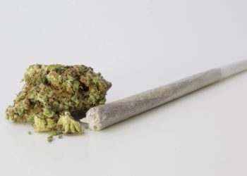 In einer aktuellen Studie der amerikanischen Michigan State University wurde der Frage nachgegangen ob der der dauerhafte Konsum von Marihuana Einfluss auf die Gewichtszunahme hat. (Bild: nokturnal/fotolia.com)