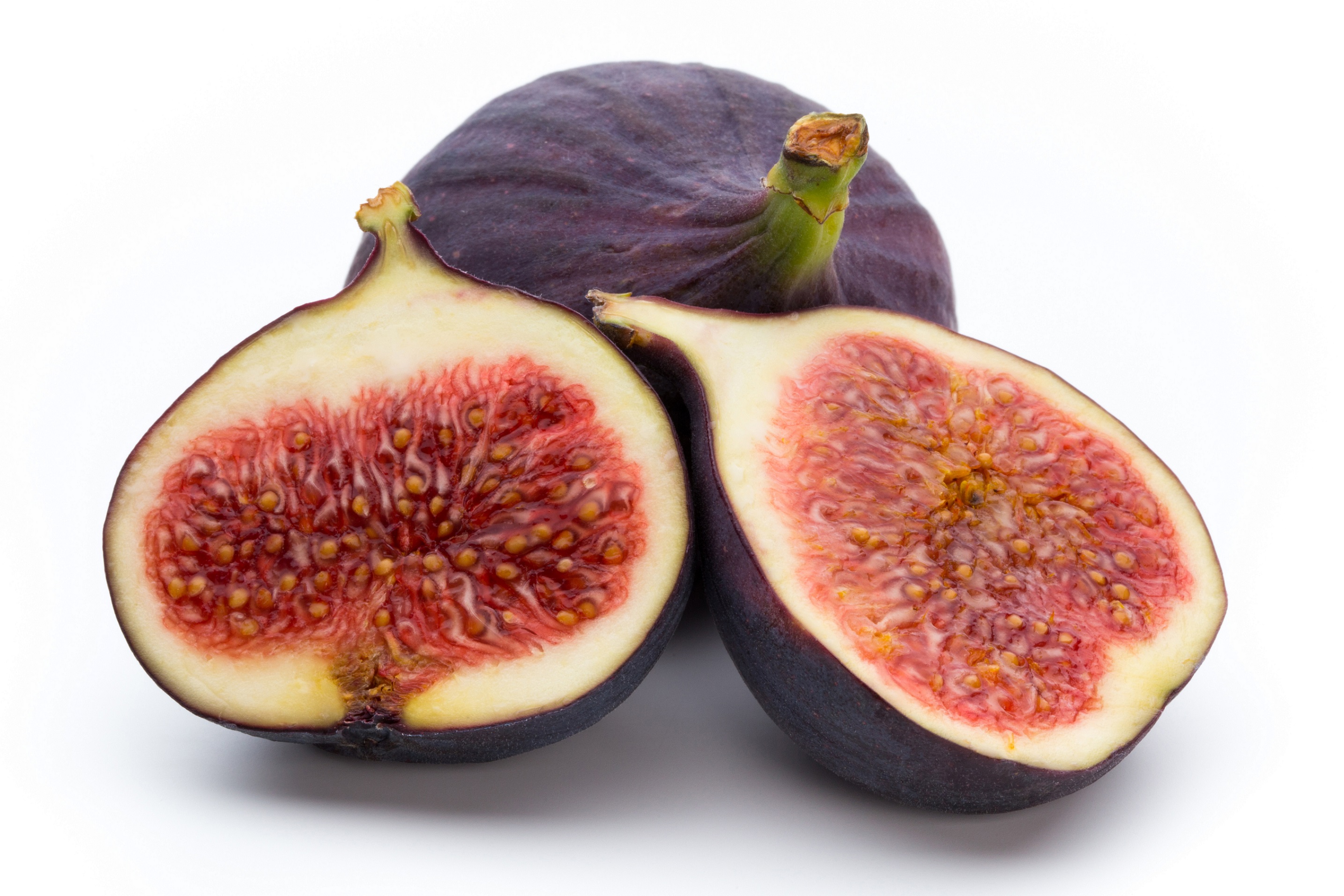 Feige – Ficus carica – Heilpraxis