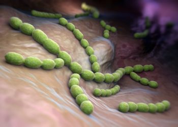 Streptokokken sind eine Gruppe von Bakterien, die vielfältige Erkrankungen auslösen können. (Bild: Tatiana Shepeleva/fotolia.com)