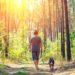 Regelmäßige Spaziergänge im Wald sind ein gutes Mittel, um Stress zu reduzieren. (Bild: vvvita/fotolia.com)