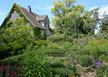 Im Einklang: Der Naturgarten. Bild: Christine Kuchem-fotolia