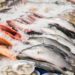 Die Fischallergie ist eine der gefährlichsten Nahrungsmittelallergienüberhaupt. Betroffene müssen in der Regel auf den Verzehr von Fisch komplett verzichten. Doch nun berichten Forscher, dass es für diese Allergiker Hoffnung gibt. (Bild: coffeekai/fotolia.com)