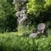 Für einen kleinen Waldgarten eignen sich zum Beispiel Eberesche, Hainbuche und Schneeball. (Bild: Christine Kuchem/fotolia.com)