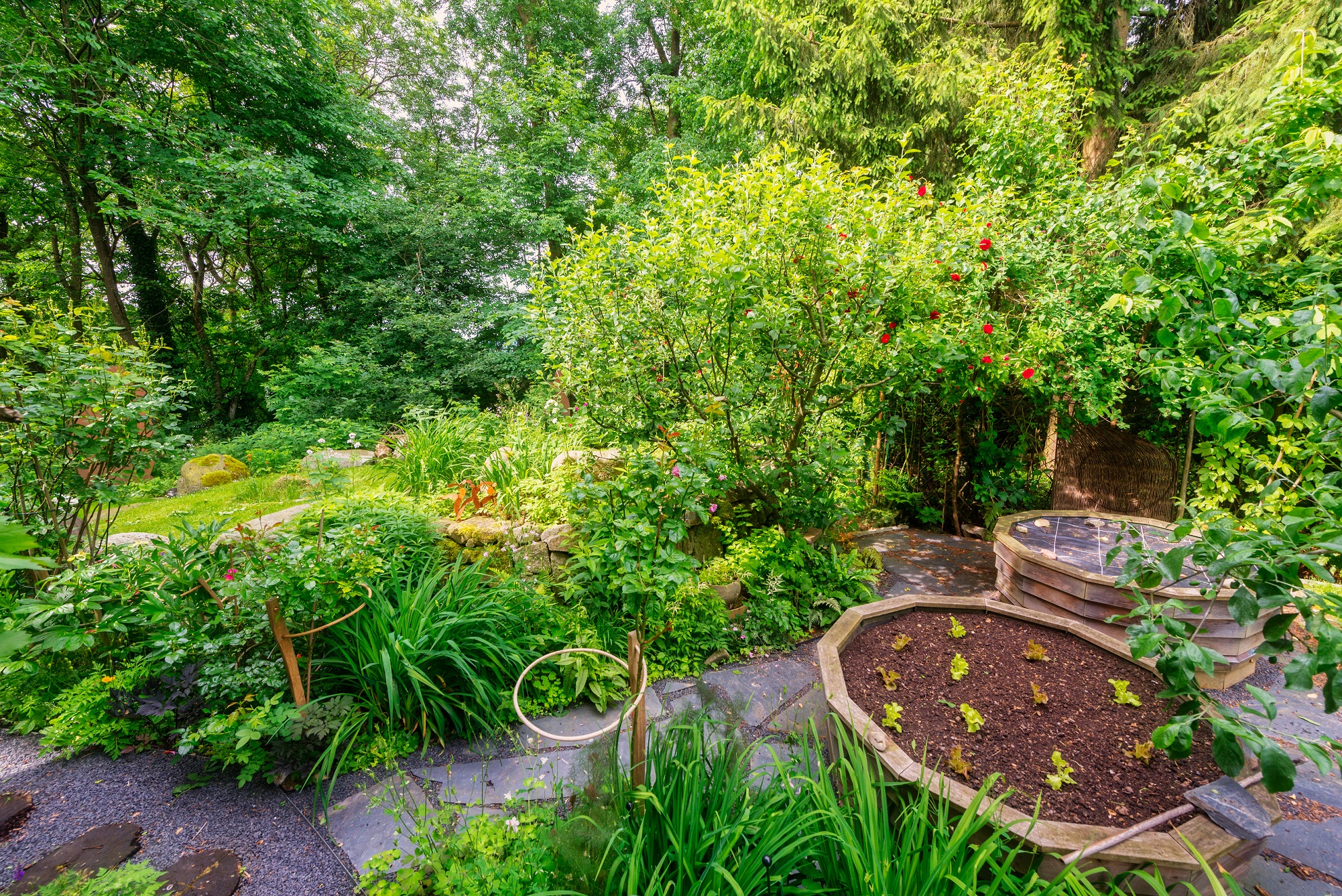 Naturgarten Selbst Anlegen Planung Gestaltung Und Pflanzen