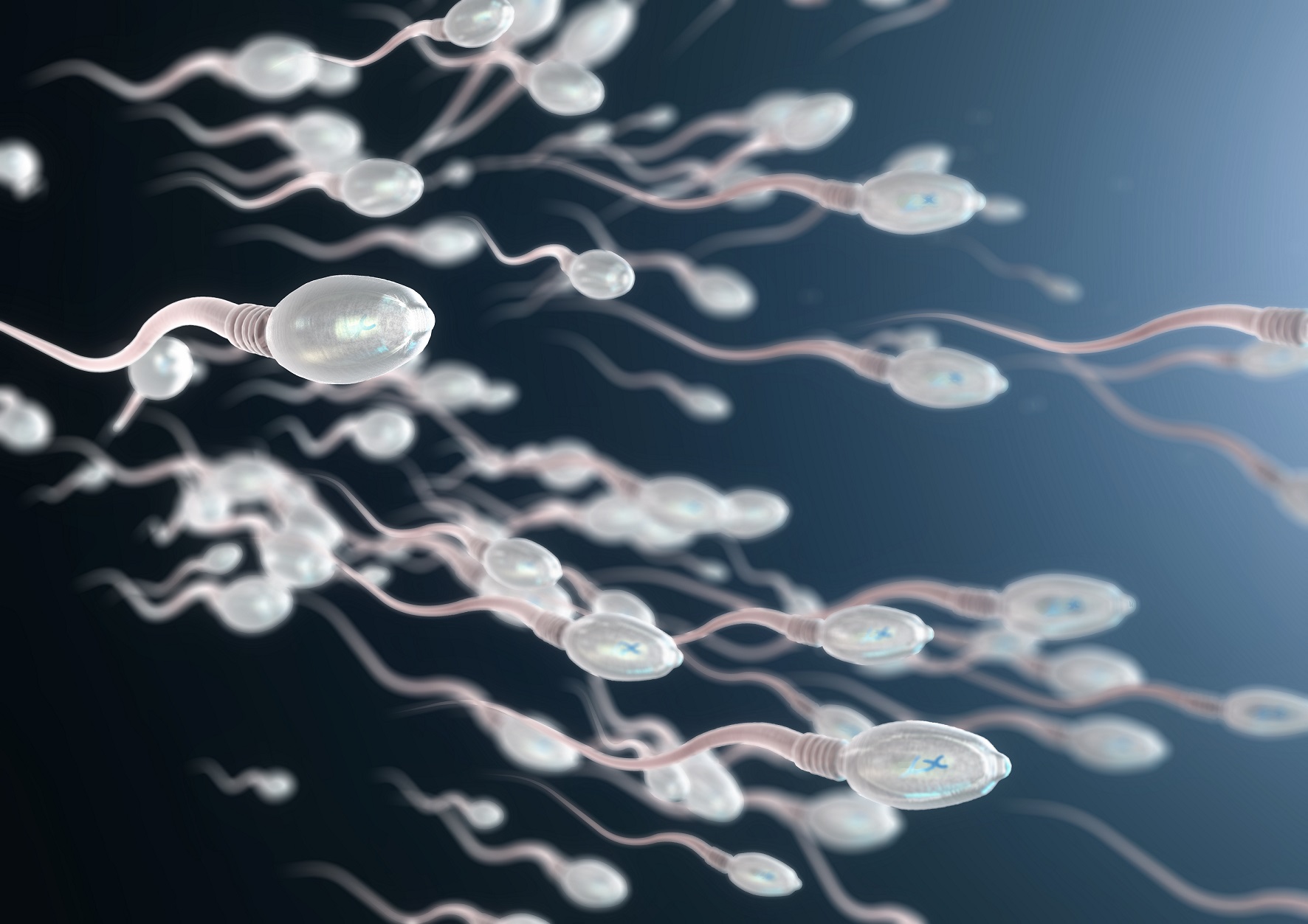 Sperma auf textilien