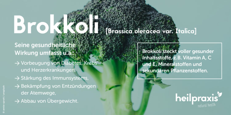 Grafik mit den wichtigsten Inhaltsstoffen und Anwendungsgebieten von Brokkol