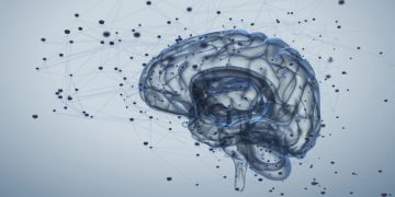 Wer das Wesen des Menschen verstehen will, muss laut Korte unsere Gedächtnisfähigkeit verstehen. (Bild: Tatiana Shepeleva/fotolia.com)
