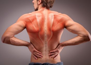 Muskelschmerzen betreffen oft den Rücken, die Schultern, die Arme und Beine. Die Ursachen können äußerst unterschiedlicher Natur sein. (Bild: artstudio_pro/stock.adobe.com)