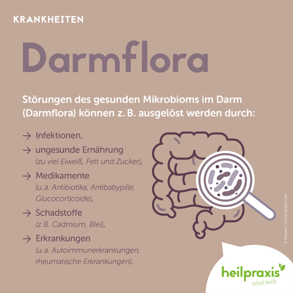 Erstaunlich Gestrte Darmflora Symptome Bild