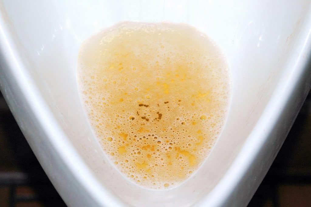 Wie urin wasser durchsichtig Hund uriniert