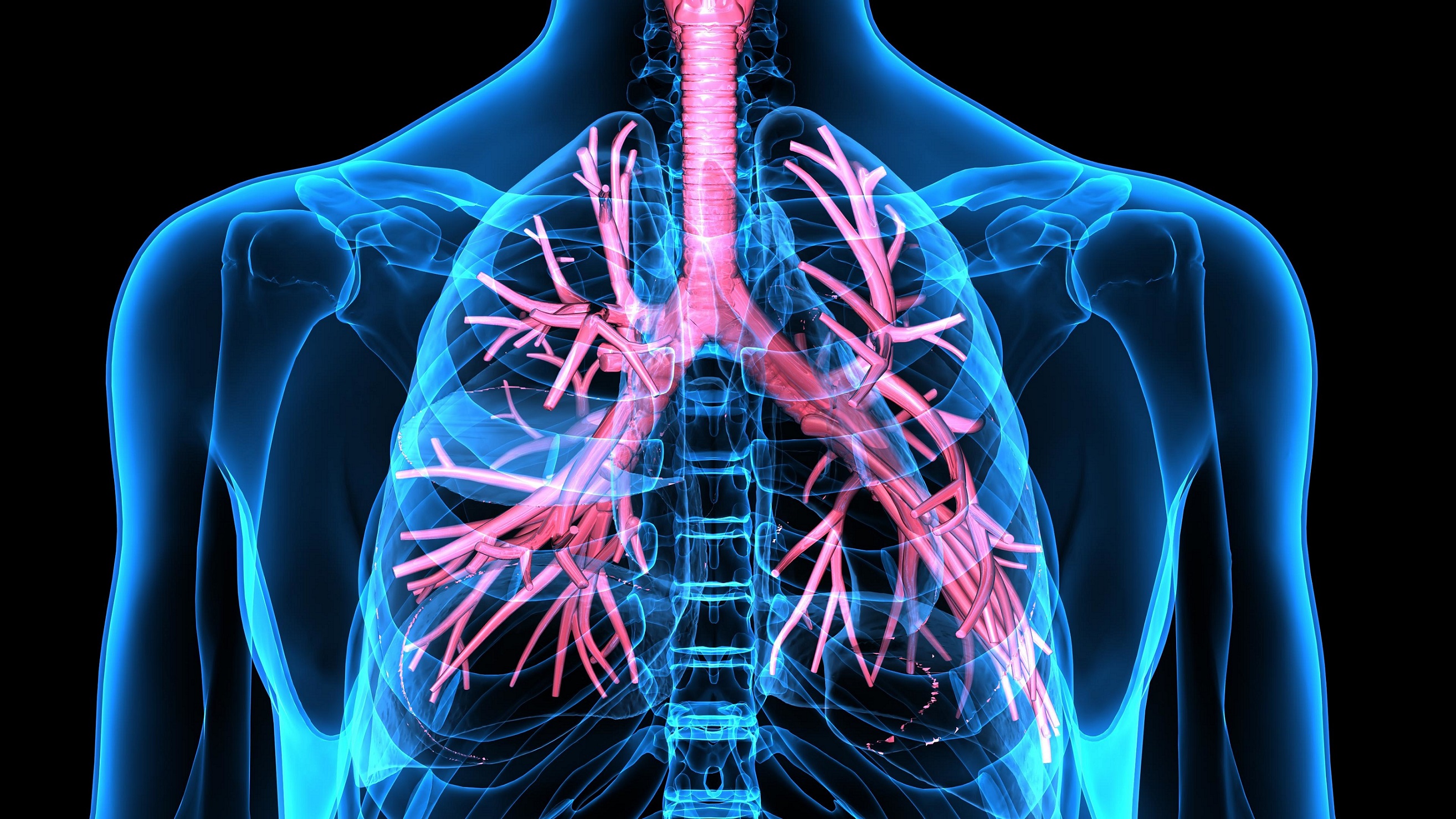 Asthma bronchiale ursachen symptome und therapie naturheilkunde