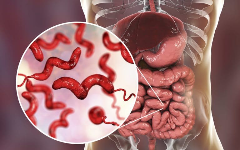 Lebensmittelvergiftung Oder Magen Darm Virus www.heilpraxisnet.de