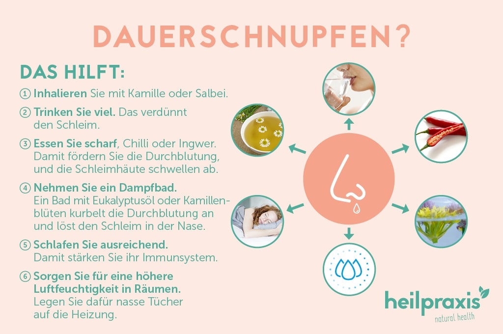 Dauerschnupfen Ursachen, Symptome und wirksame Hausmittel Heilpraxis