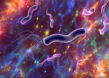 Das Bakterium Helicobacter Pylori ist für rund 80% aller Gastritiserkrankungen vernanwortlich. (Bild:Kateryna_Kon/fotolia.com)