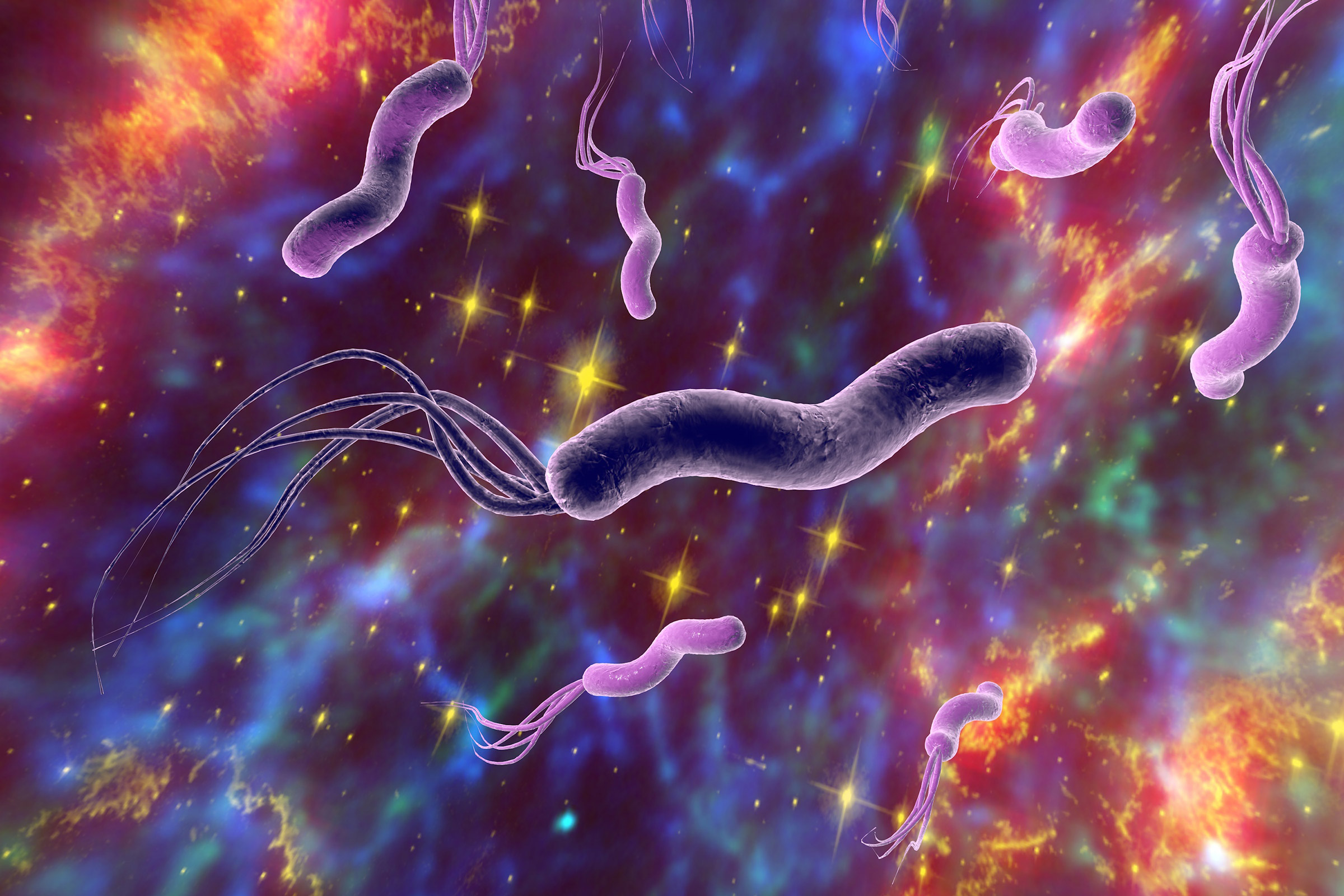 Gastritis (Magen­schleim­hautentzündung) Ursachen, Symptome und