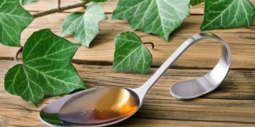 Efeu ist zwar giftig, verfügt jedoch auch über eine Vielzahl medizinisch nutzbarer Inhaltsstoffe. Als Mittel gegen Husten hat sich beispielsweise ein Extrakt aus Efeublättern bewährt. (Bild: PhotoSG/fotolia.com)