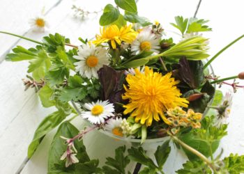 Im Frühling lassen sich viele leckere und gesunde Wildkräuter sammeln. (Bild: eflstudioart/fotolia.com)