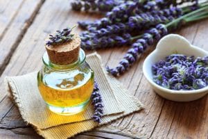 Lavendel – Anwendung, Rezepte, Heilpflanze – Heilpraxis
