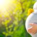 Zahlreiche Faktoren können in der Schwangerschaft Auswirkungen auf das Allergierisiko des ungeborenen Kindes haben. Auch lässt sich hier bereits der Grundstein zur Allergieprävention legen. (Bild: Subbotina Anna/fotolia.com)