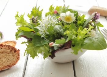 Nicht nur als Zutat in einem Wildkräuter-Salat ist Brunnenkresse gut geeignet. Zahlreiche Speisen können mit der scharfen Note der Kresse verfeinert werden. (Bild: eflstudioart/fotolia.com)