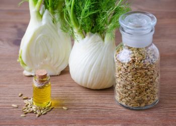 Fenchel-Sirup ist ein bewährtes Hausmittel bei Atemwegserkrankungen und Magen-Darm-Beschwerden. (Bild: nadisja/fotolia.com)